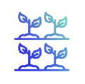 ilustrao de 4 mudas de planta